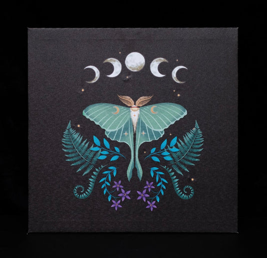 Luna Moth Light Up Canvas Plaque