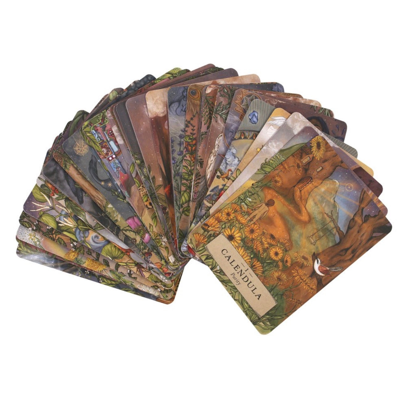 Herbal Astrology Oracle Cards