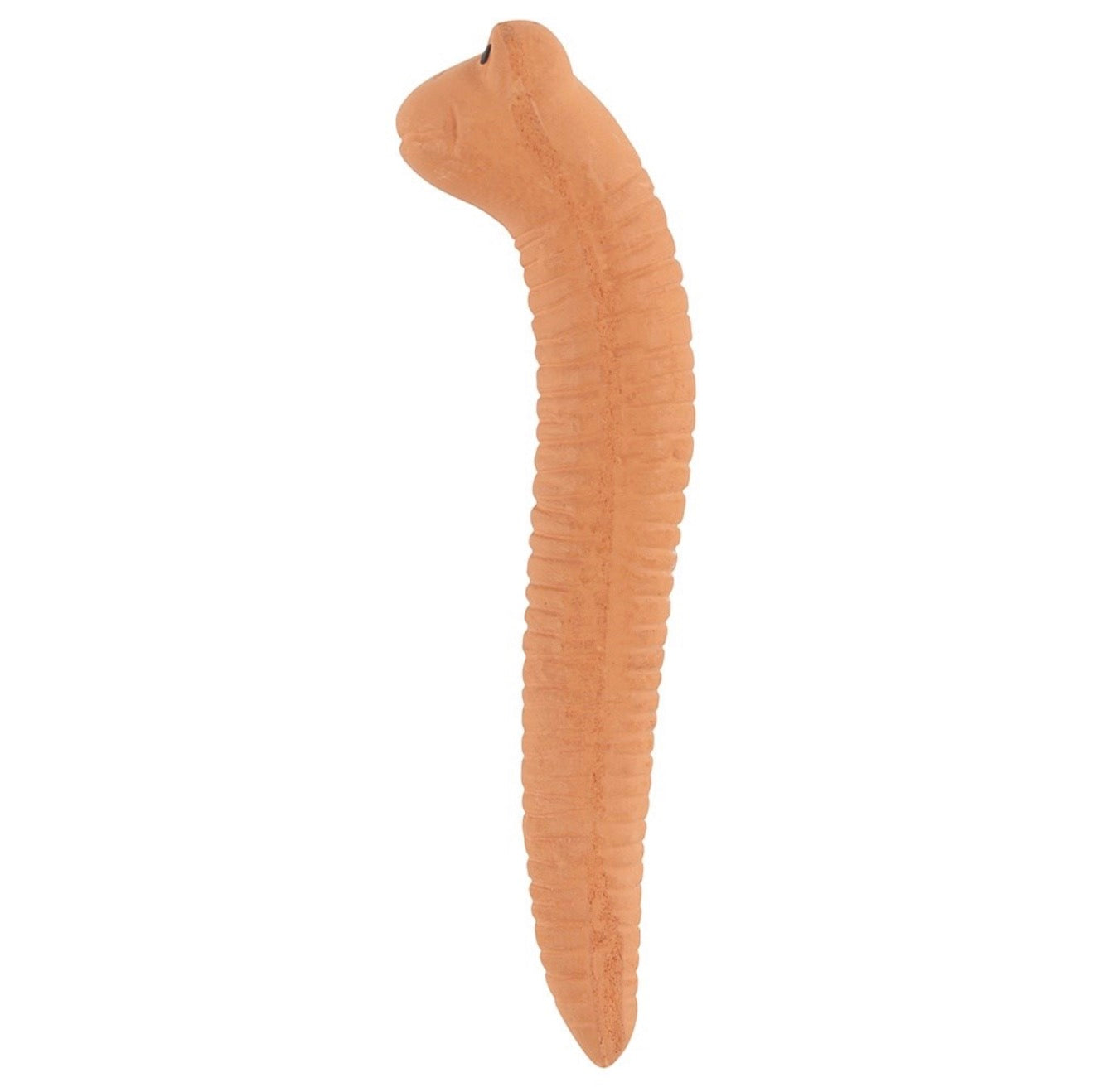 Small Willy the Worm Water Sensor