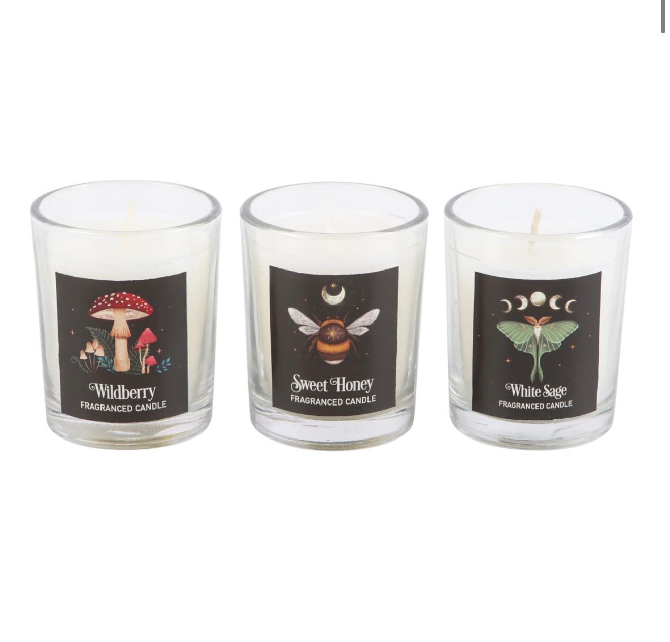 Dark Forest Candle Trio