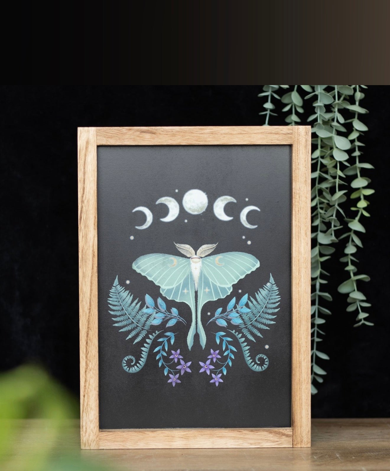 Luna Moth Wall Art