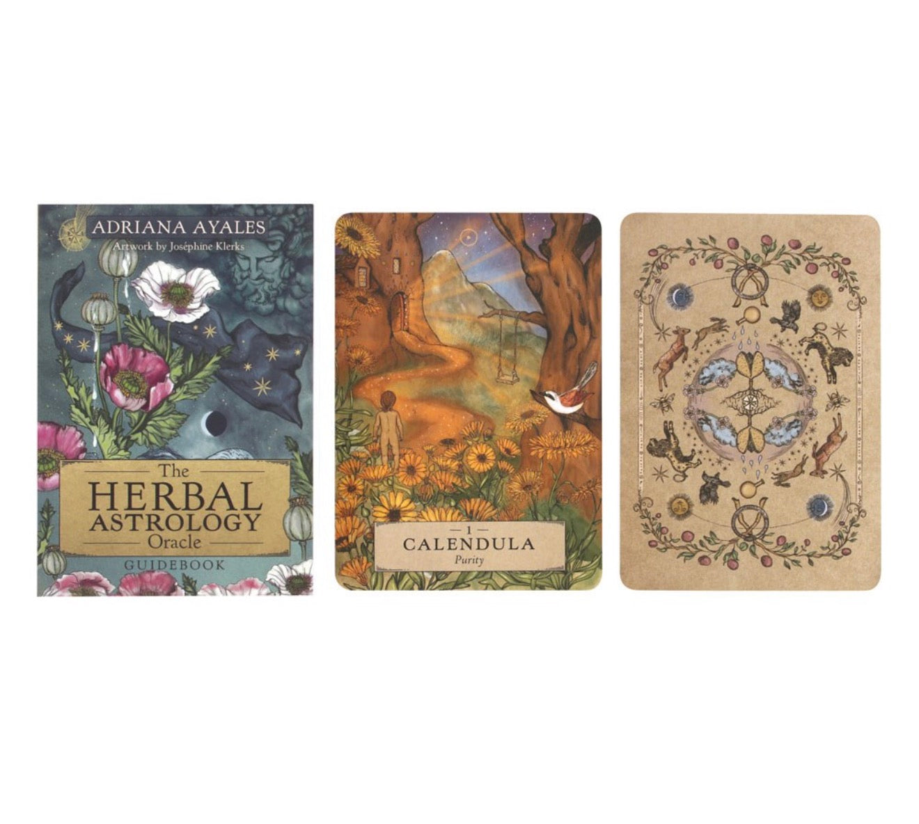Herbal Astrology Oracle Cards