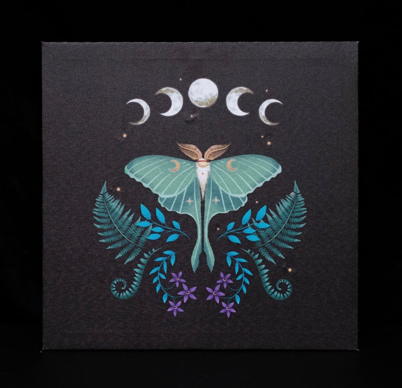 Luna Moth Light Up Canvas Plaque