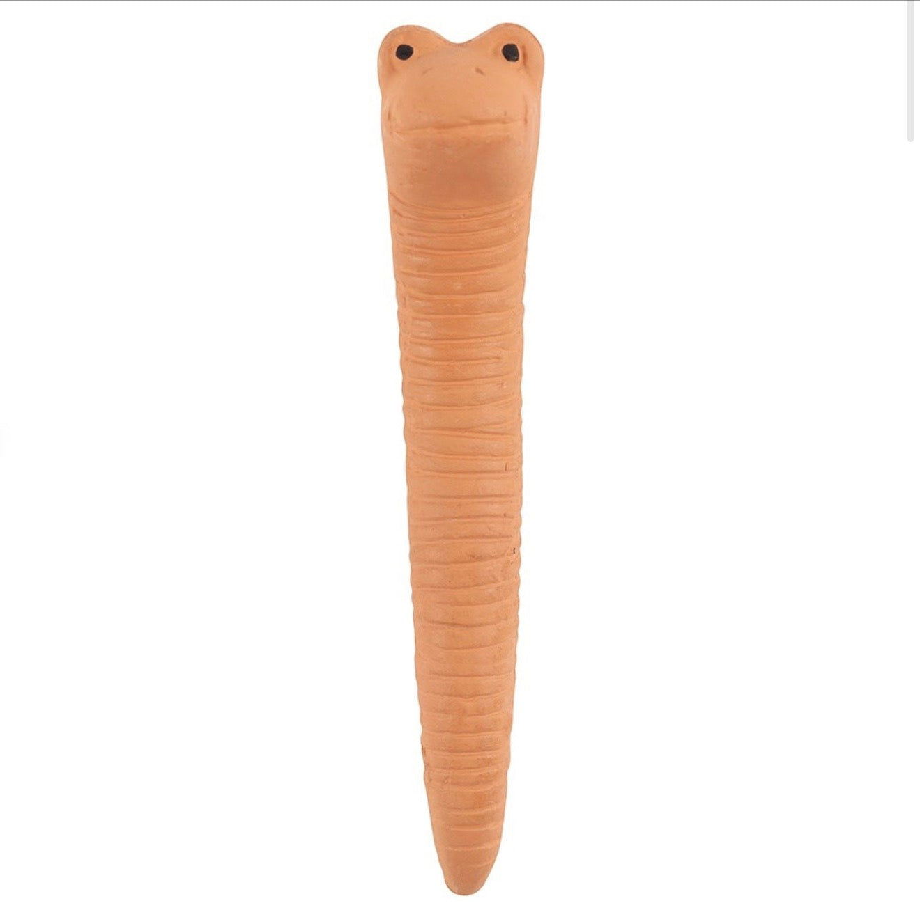 Small Willy the Worm Water Sensor