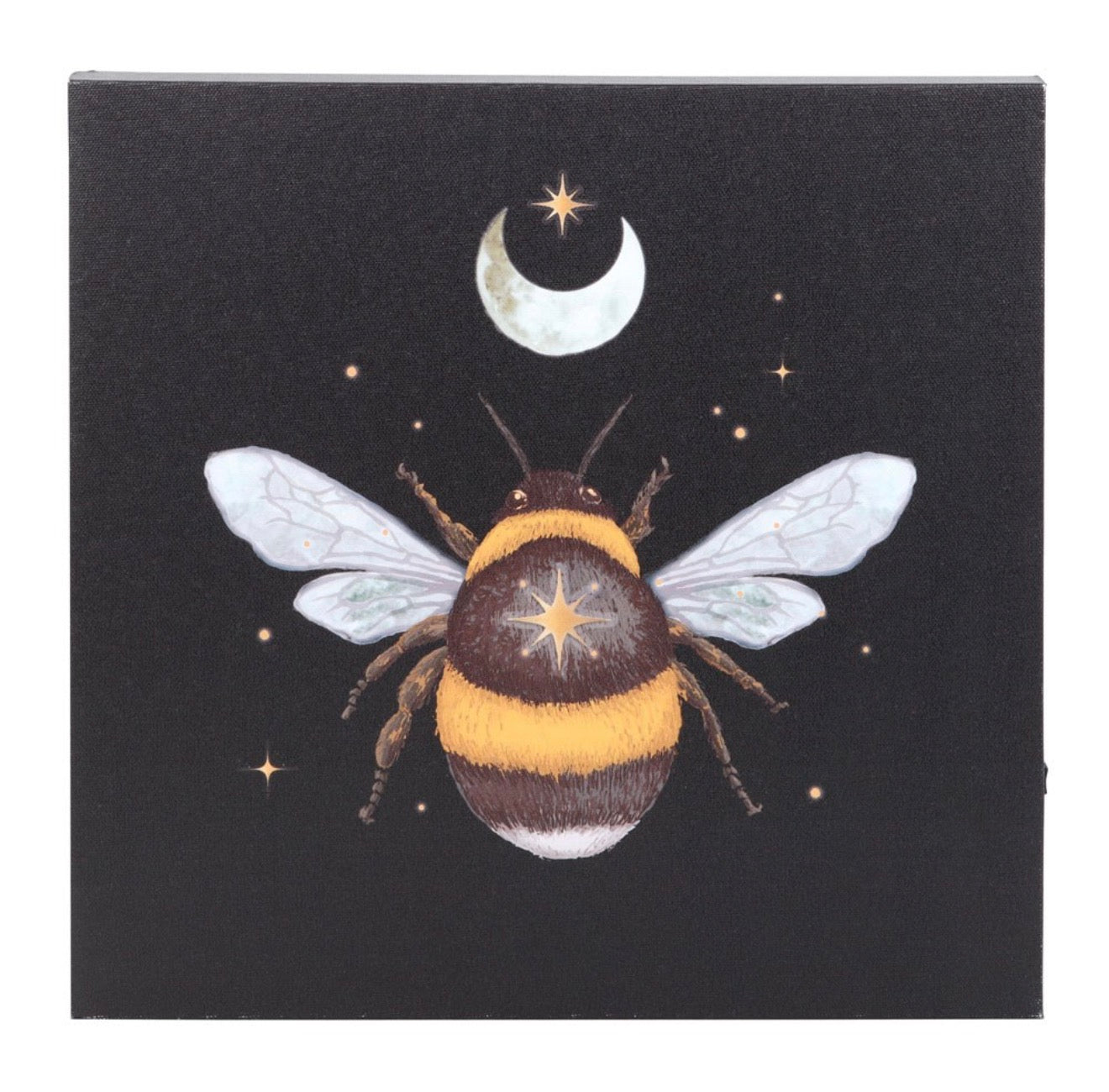 Forest Bee Light Up Canvas Plaque