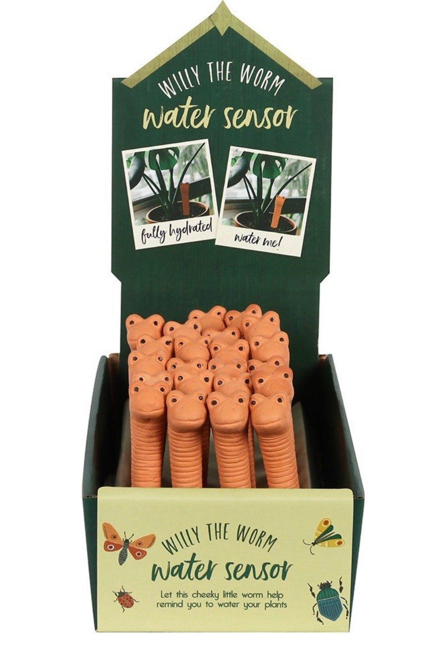 Small Willy the Worm Water Sensor