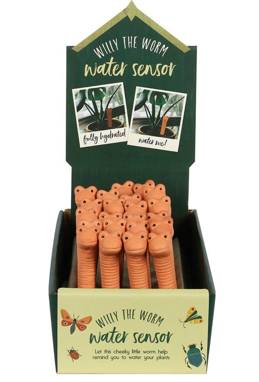 Small Willy the Worm Water Sensor