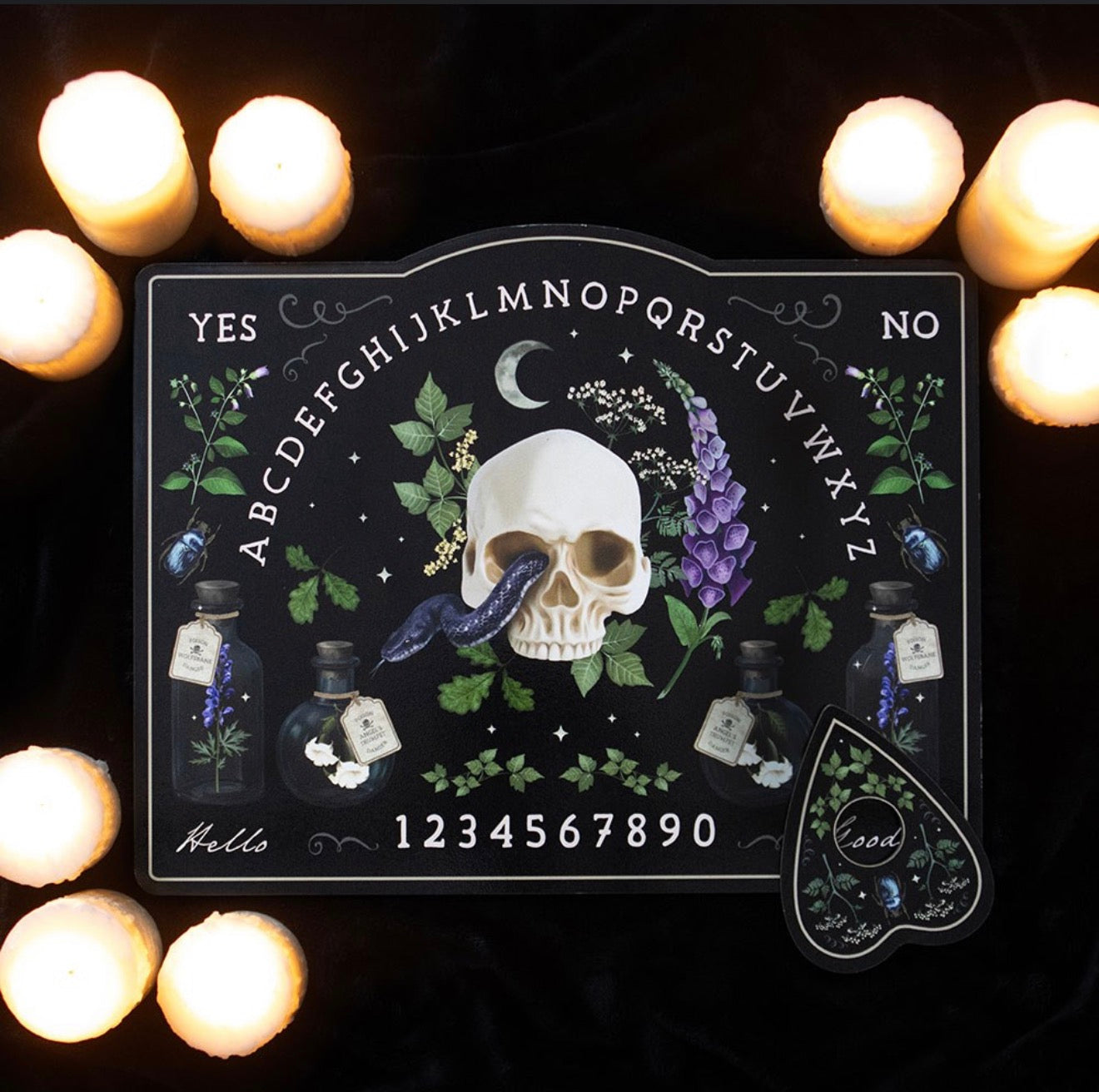 Poisonous Plants Talking Board