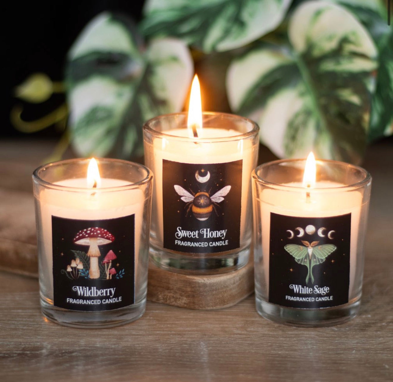 Dark Forest Candle Trio
