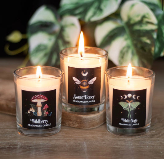 Dark Forest Candle Trio