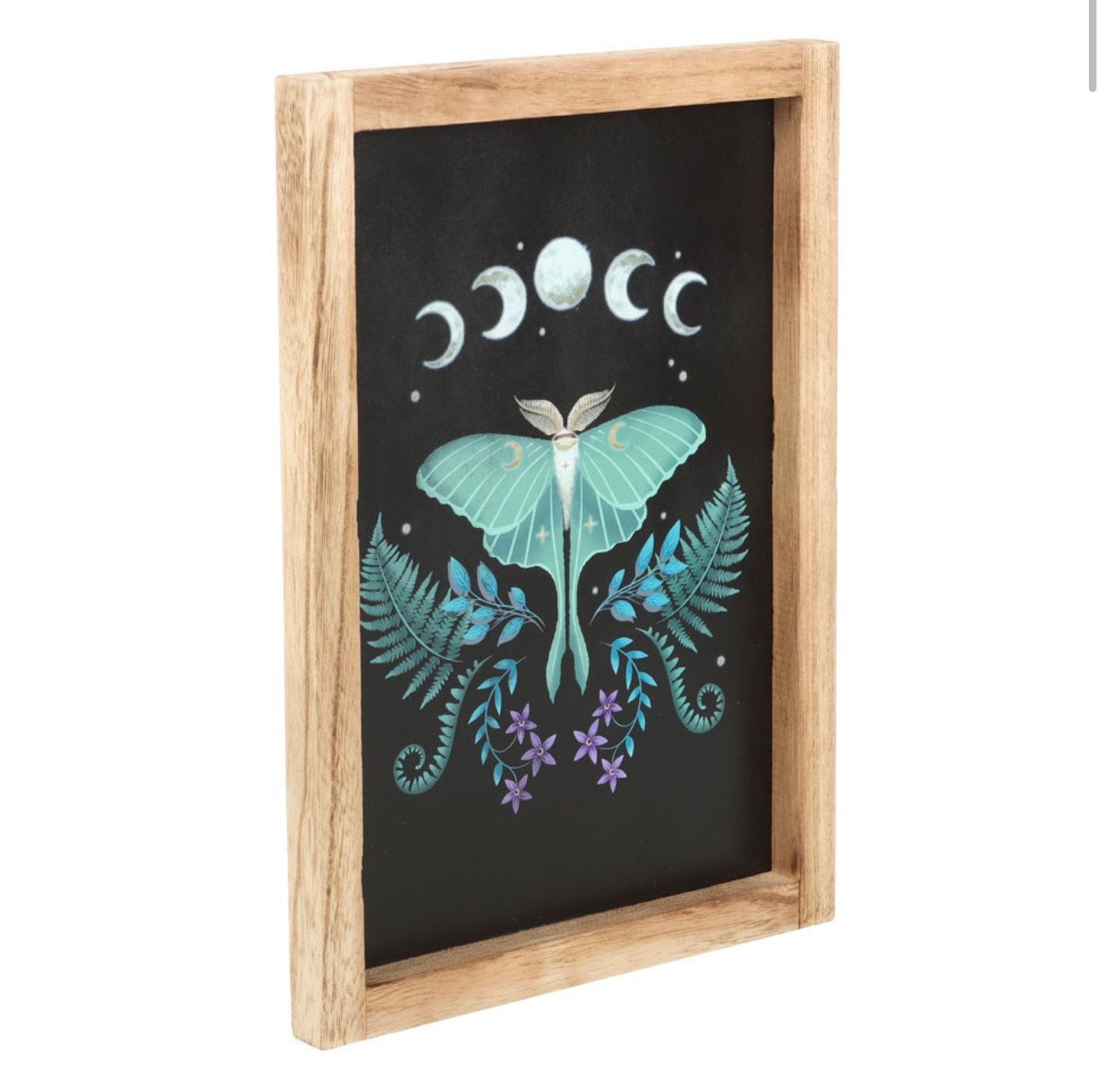 Luna Moth Wall Art